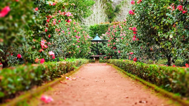 Tuinhuisjes