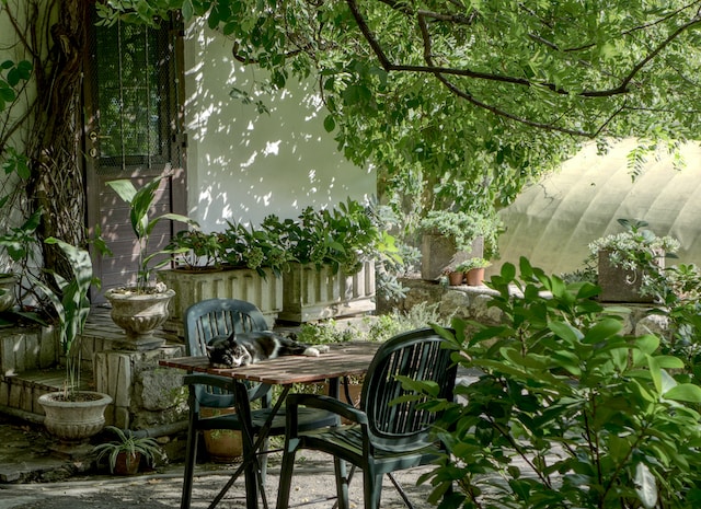 tuin decoratie